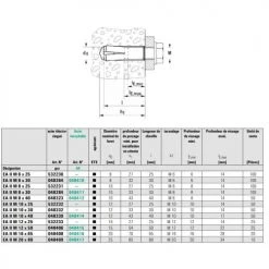 Cheville à frapper EAII Fischer en acier électro-zingué -Visserie Soldes Magasin AFD 95092