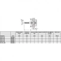 Cheville universelle Fischer sans vis -Visserie Soldes Magasin AFD 98561